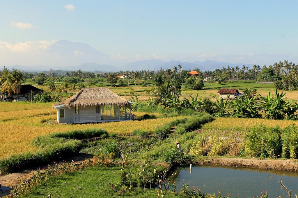 Barn N Bunk Hotel Gianyar  Ngoại thất bức ảnh