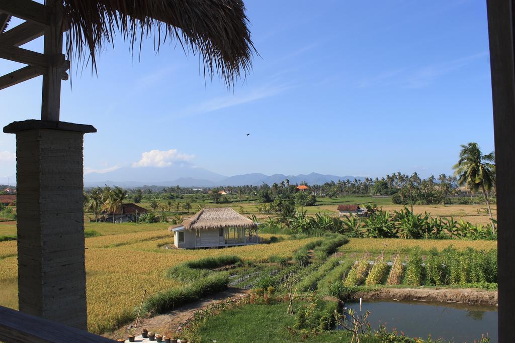 Barn N Bunk Hotel Gianyar  Ngoại thất bức ảnh