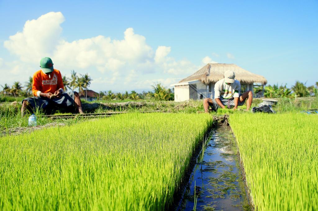 Barn N Bunk Hotel Gianyar  Ngoại thất bức ảnh