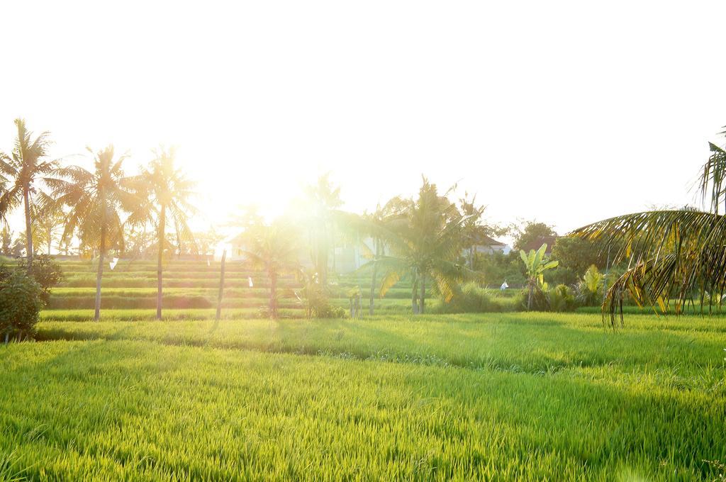 Barn N Bunk Hotel Gianyar  Ngoại thất bức ảnh