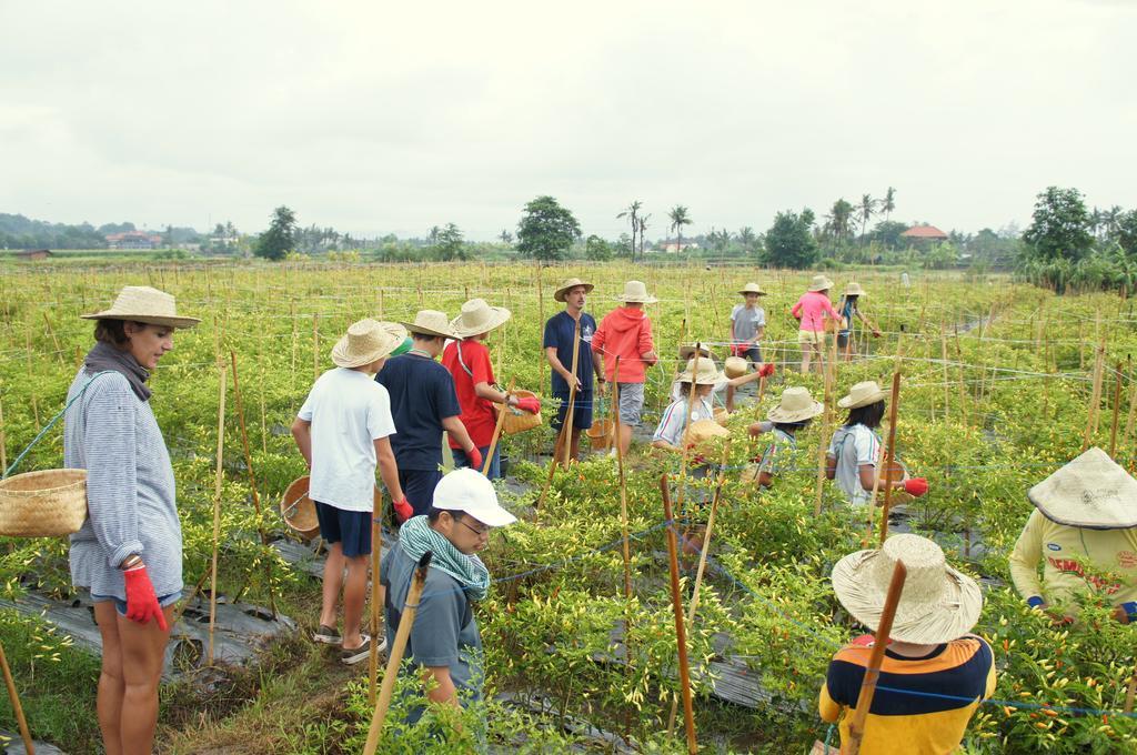 Barn N Bunk Hotel Gianyar  Ngoại thất bức ảnh